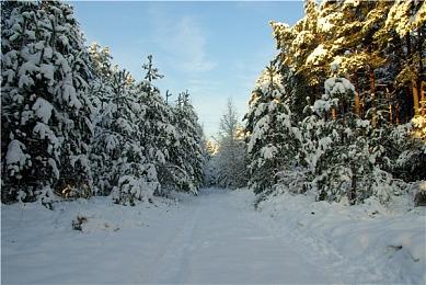 特技漂移大师Ken Block去世 享年55岁