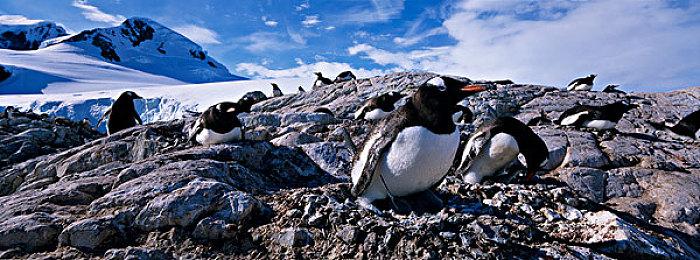 《龙珠斗士Z》将推出新世代版本 添加回滚网络代码